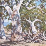 Gums on the Six Mile by David Chalmers