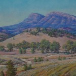 Road to Wilpena by David Chalmers