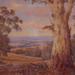 Hills of Southern Flinders by Don Gangell