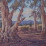 Red Gums by Don Gangell