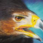 KH Eagle by Kerryn Hocking