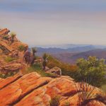 Looking North from Wilpena Pound by Graham Chapman