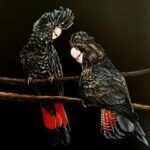 Red tailed Black Cockatoos by Kerryn Hocking